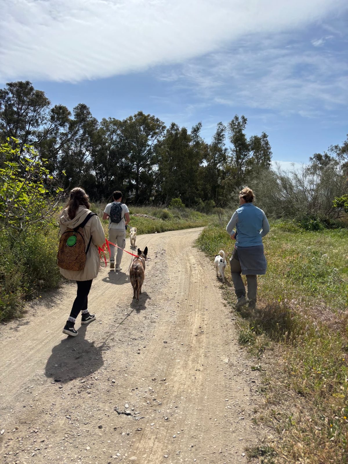 Grupo de personas paseando a sus perros por un camino rural durante un paseo educativo
